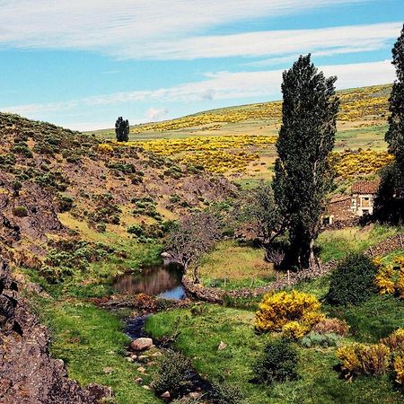 Barajas de Gredos Casa Rural La Vereilla المظهر الخارجي الصورة