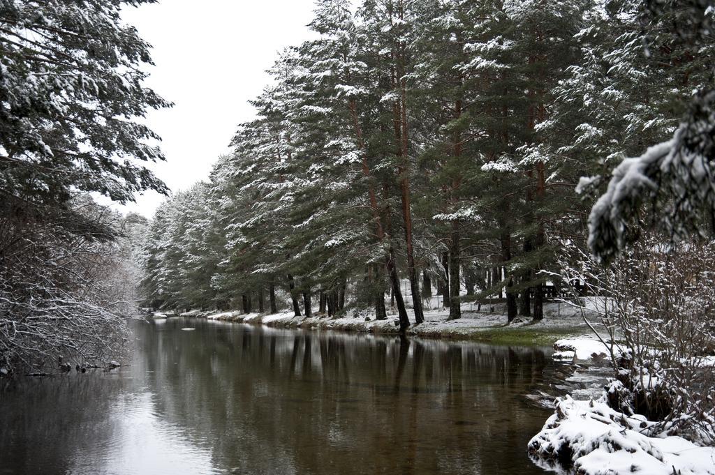 Barajas de Gredos Casa Rural La Vereilla المظهر الخارجي الصورة